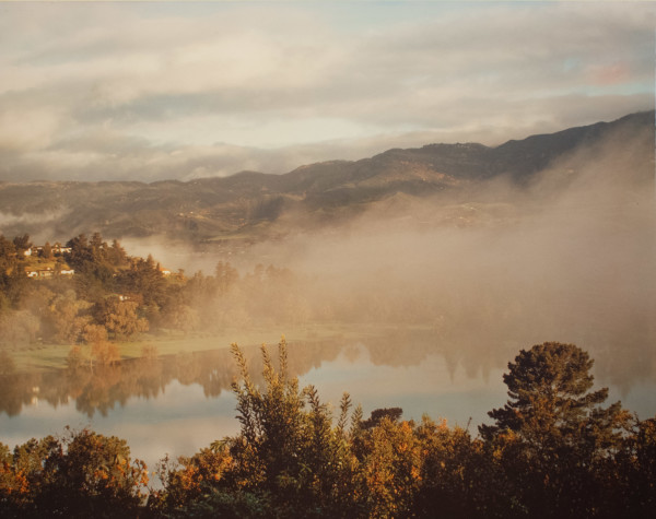 Morning Mist by Stephen D. Wilson