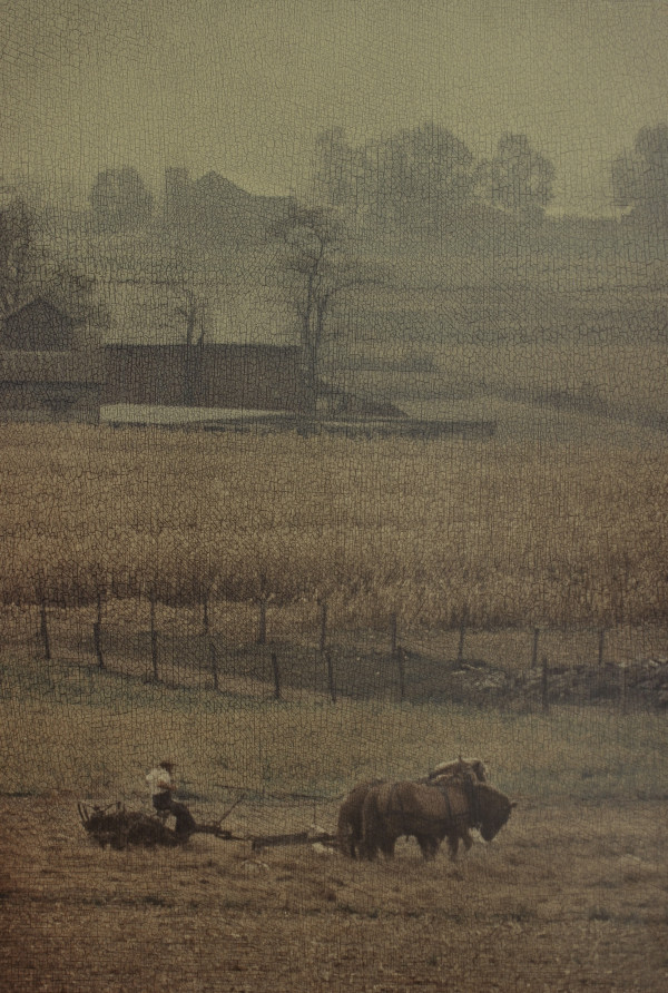 Amish Harvest by Rowan P.  Smolcha