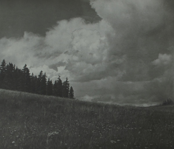 Mountain Meadow by R. Ewing Stiffler
