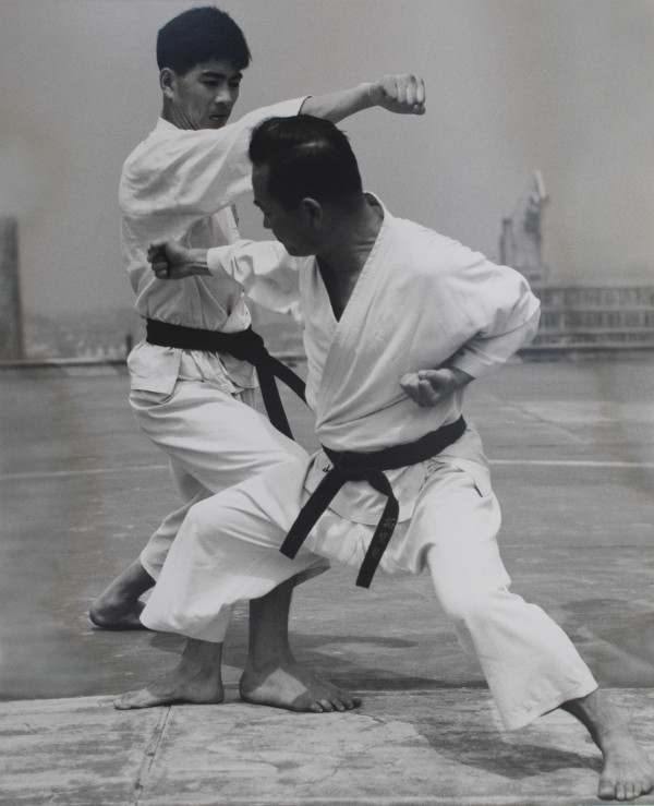 Karate by H. Landshoff
