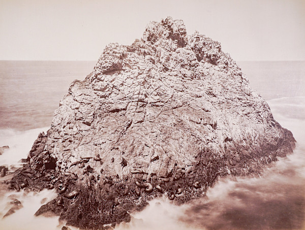 Seal Rock by Carlton Watkins