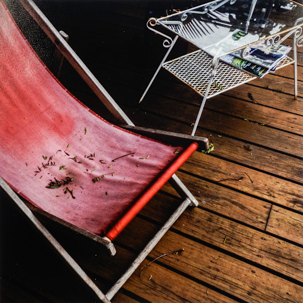 Joy, Reconsidered by Steve MacGregor