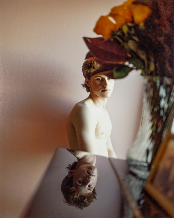 Taking Flight by Allison Plass