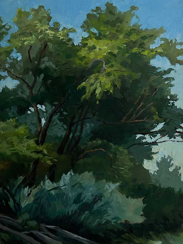 Underwood Trees by Stephanie West, Image 1.