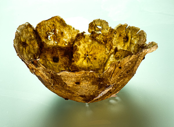 Apple mushroom vessel by Annette Holtkamp