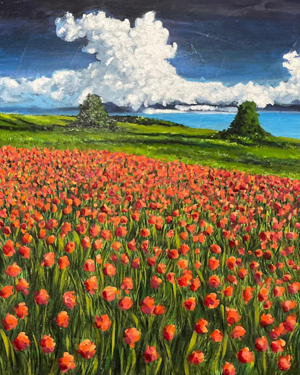Field of Poppies by Rebecca e