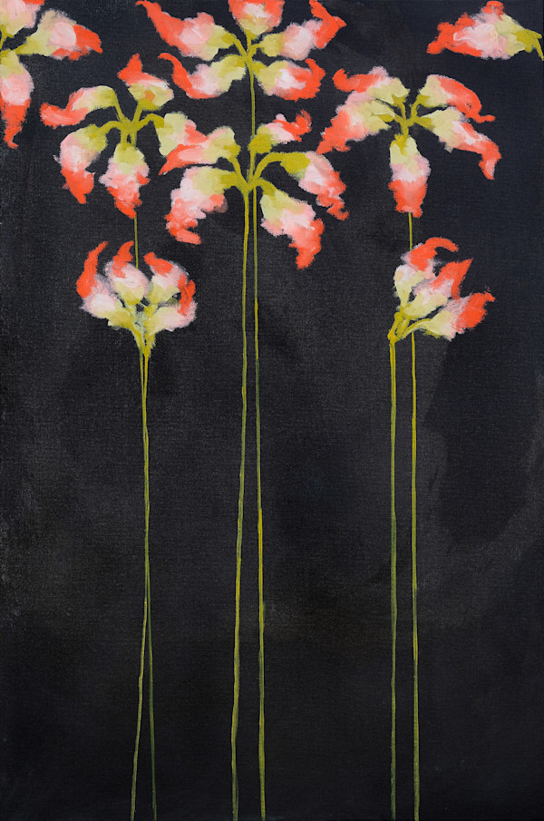 Night lily by Tyler b, Image 11.