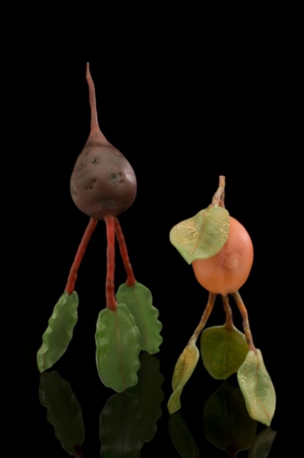 Beet and Apricot on Leaf Legs by Kathleen Elliot