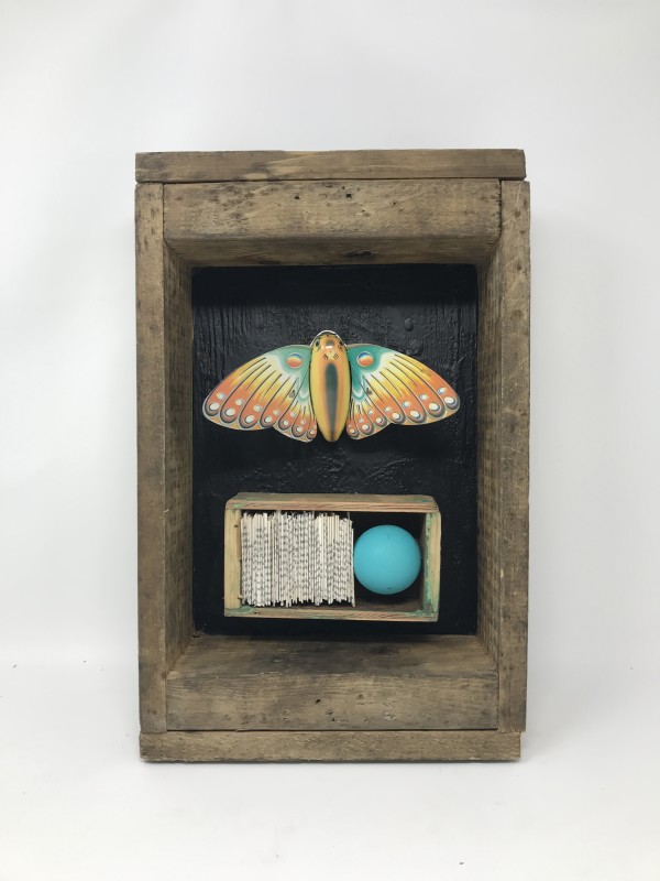 Butterfly Box #1 by Robin Howard