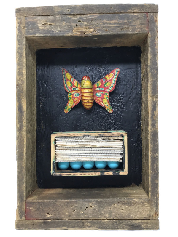 Butterfly Box #4 by Robin Howard