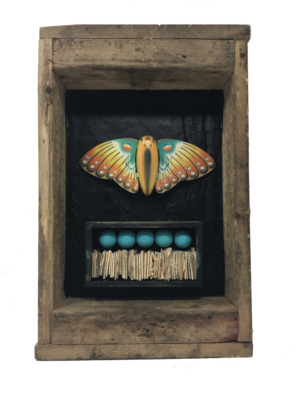Butterfly Box #8 by Robin Howard