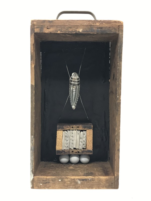 Cricket Box #2 by Robin Howard
