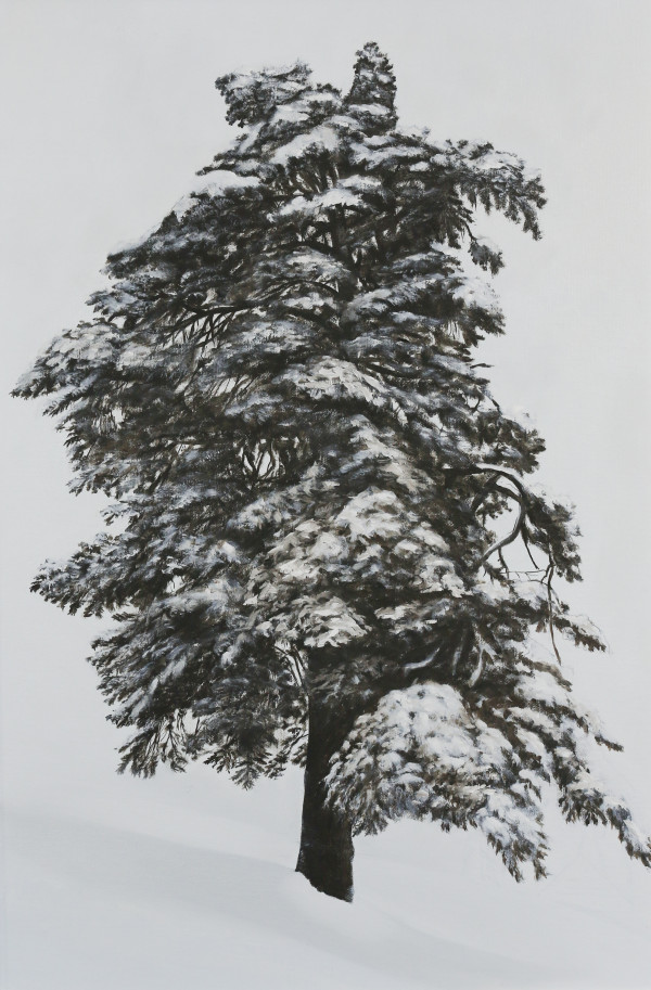 Winter Tree on Zugerberg by Phil Doyle
