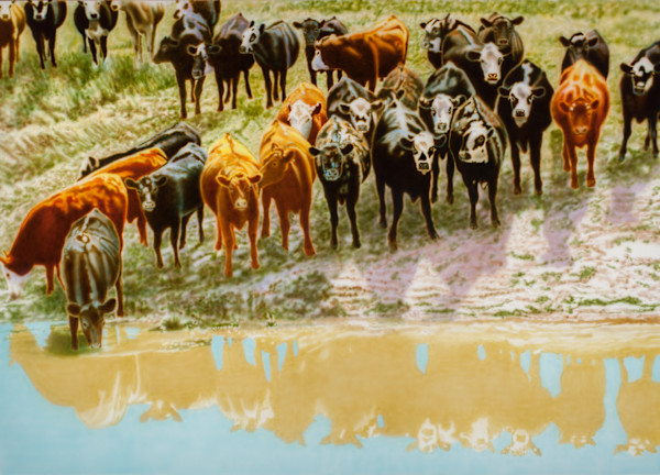 116	Reflections East of Limon	5'x7'	Acrylic by Don Coen, Image 1.