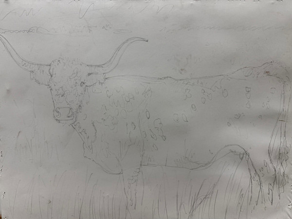 728	SR 12	30"x22"	Pencil by Don Coen, Image 1.