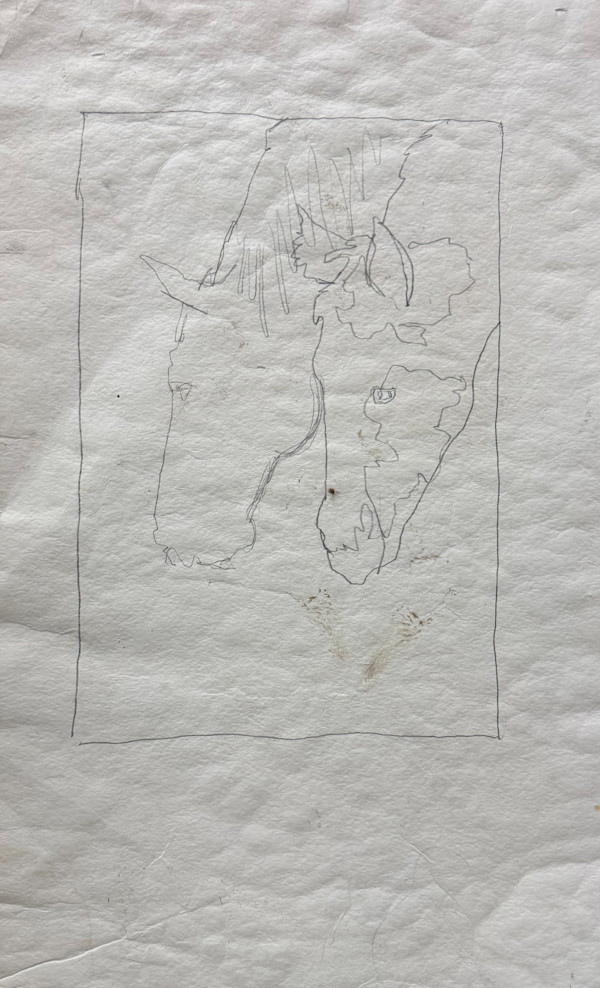 729	SR 13	24"x37"	Pencil by Don Coen, Image 1.