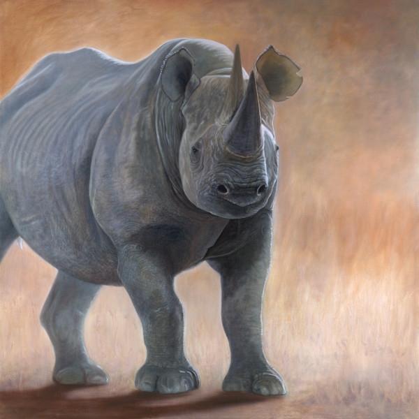 Endangered Black Rhino by Linda J Schroeter, Image 1.