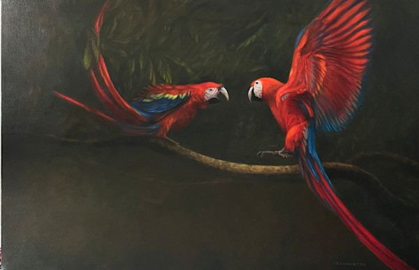 Scarlet Quarrel by Linda J Schroeter