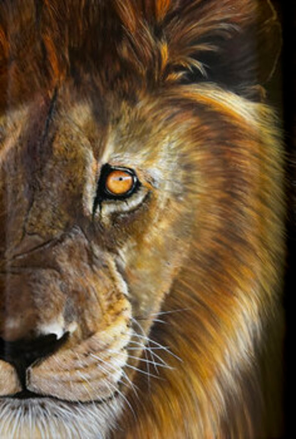 Lion’s Eye by Linda J Schroeter