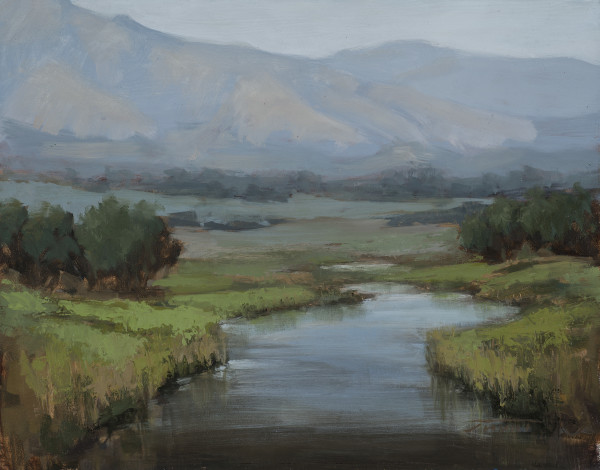 Boulder Creek by Jane Hunt