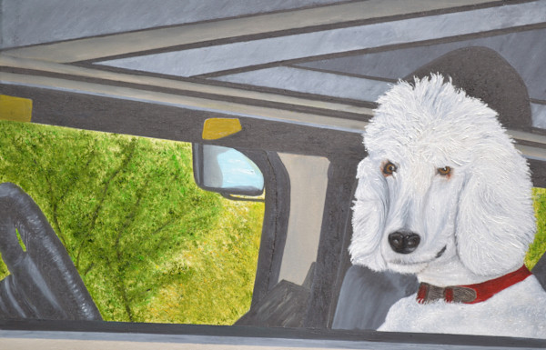 In the Drivers Seat by Patricia Hynes
