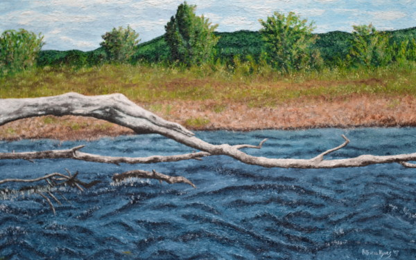 Stream by Patricia Hynes