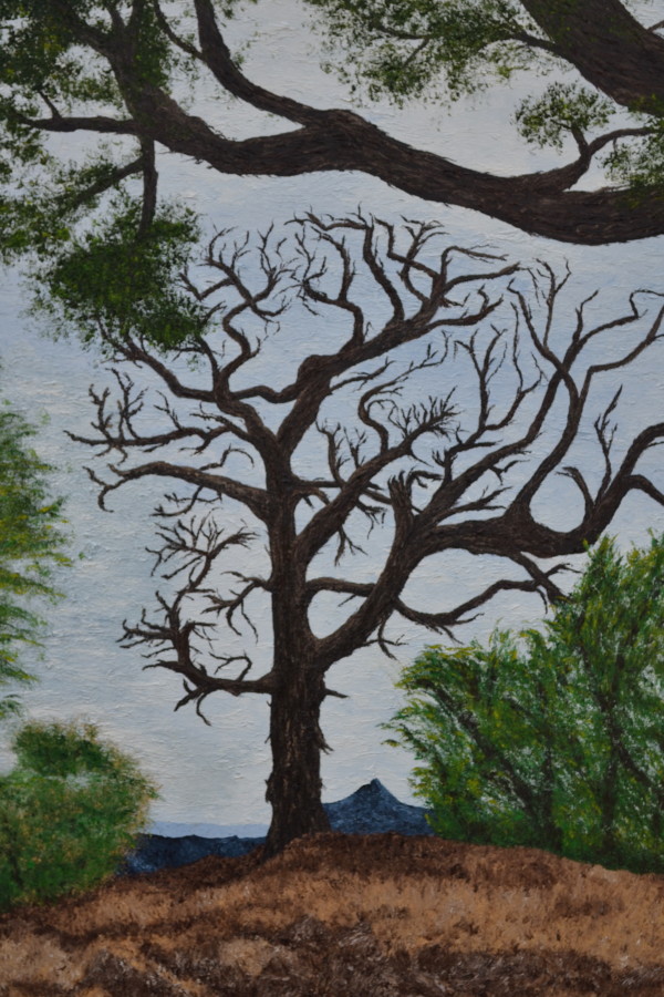 Tangled Tree by Patricia Hynes