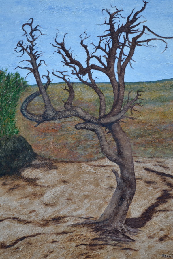 Twisted Tree by Patricia Hynes