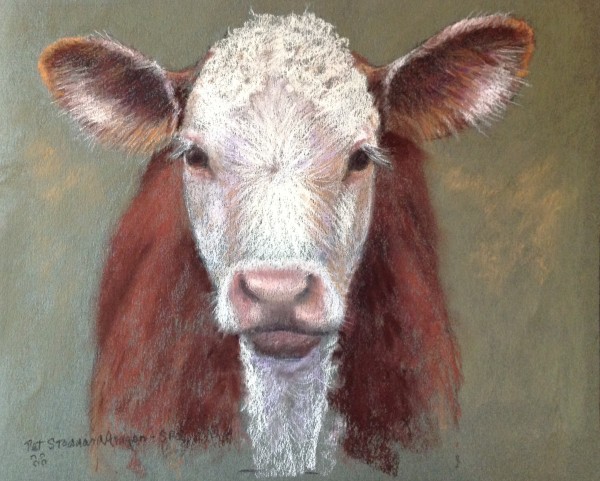 Hereford Calf by Pat Stoddard Aragon
