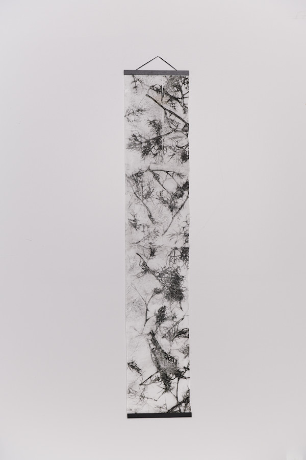 Branched by Jamie Lee Ohland