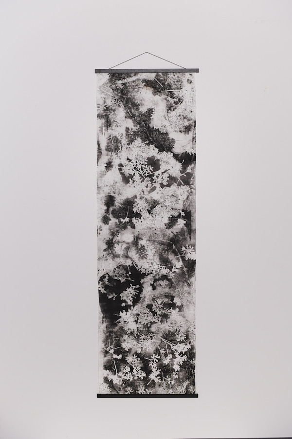 Scattered by Jamie Lee Ohland