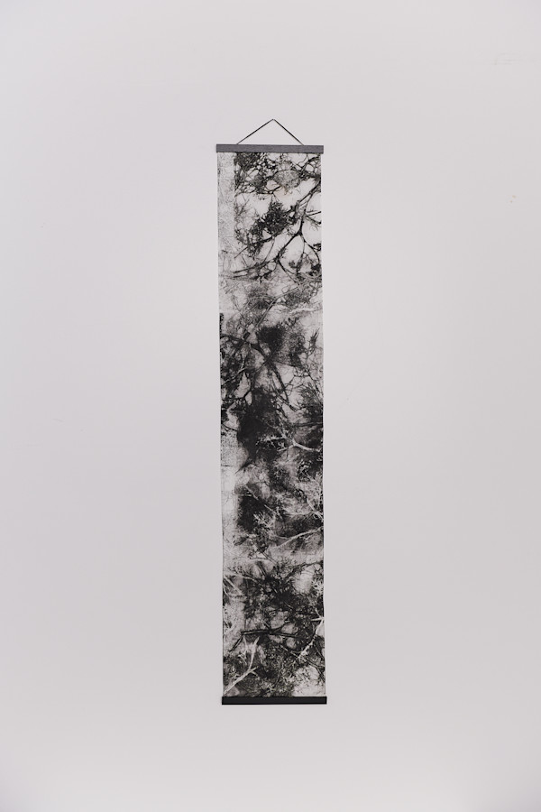 Synapsis by Jamie Lee Ohland