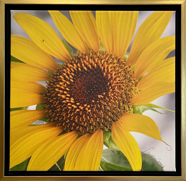 Have A Sunny Day! by Sandra G Cooper, Image 1.