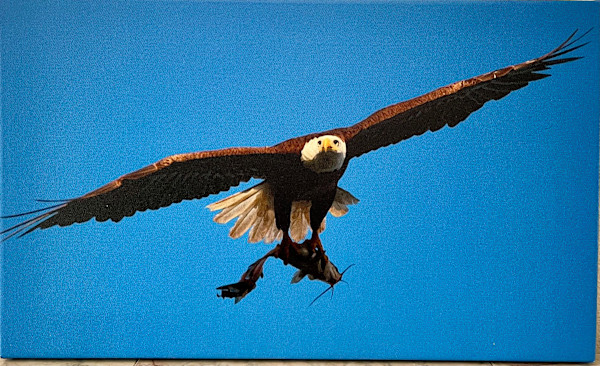 What A Catch! by Sandra G Cooper, Image 1.