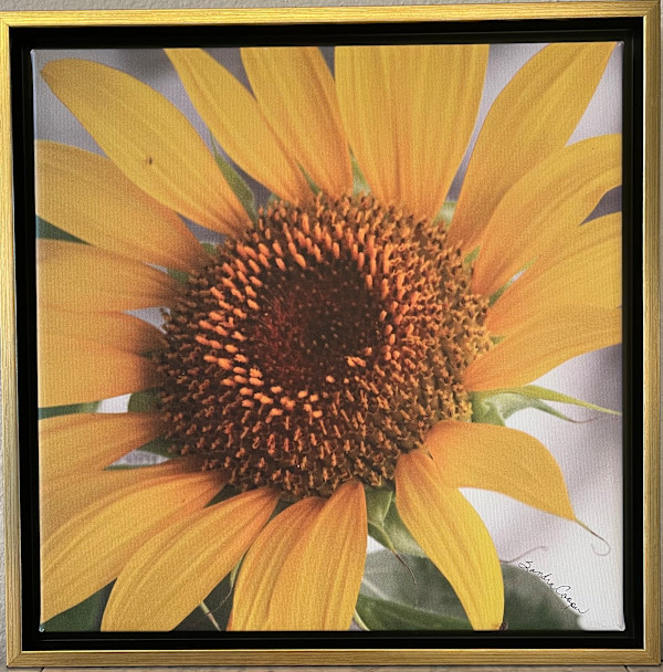 Have A Sunny Day! by Sandra G Cooper, Image 2.