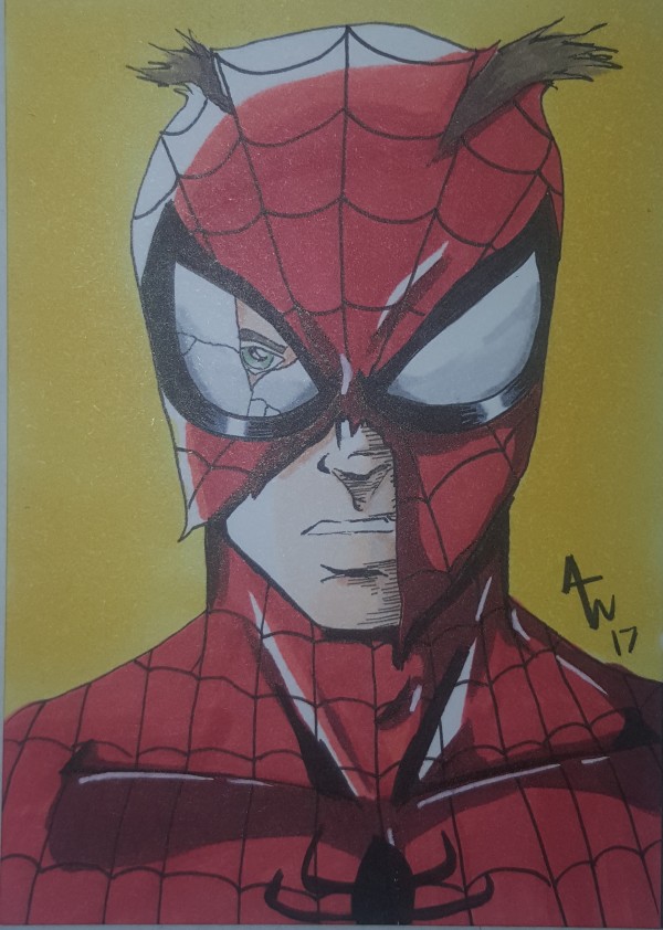 Spiderman by Alex Webb