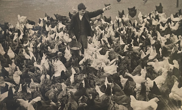 Activity on the Farm, Image 1.