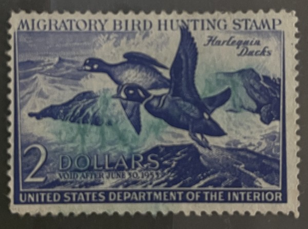 US RW19 Duck Hunting Stamp