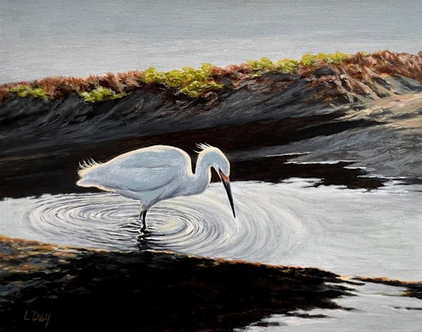 Mud-Walker (Egret) by Lorraine  Dey