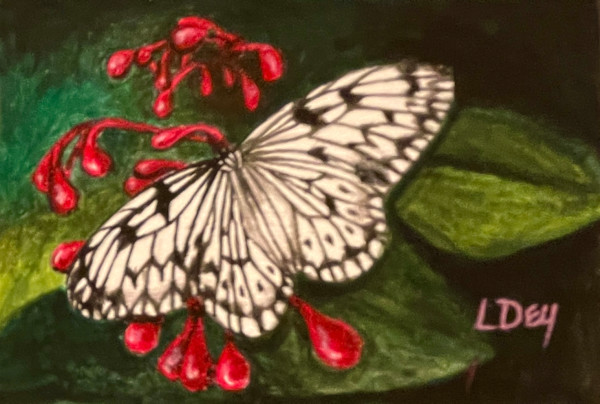 Paper Kite by Lorraine  Dey