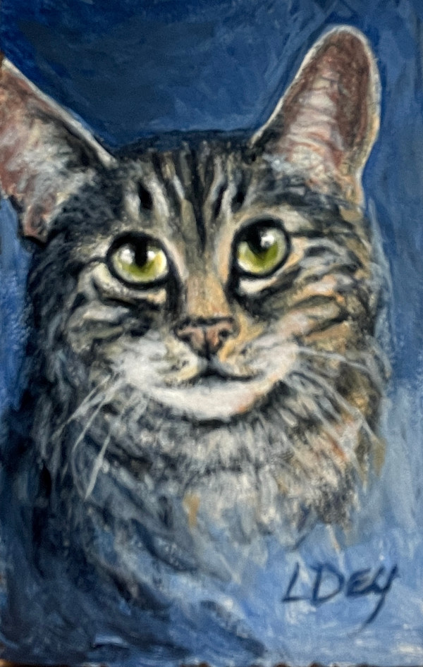 Timid Tiger by Lorraine  Dey