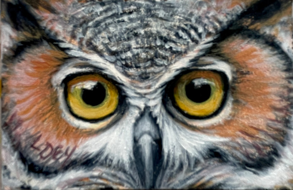 Wise Eyes by Lorraine  Dey