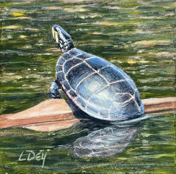 Turtle Log by Lorraine  Dey