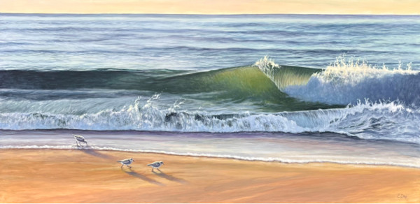 Sanderlings at Duck Beach by Lorraine  Dey