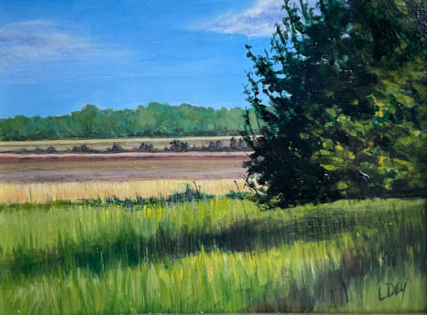 Branin Road-Medford NJ by Lorraine  Dey, Image 1.