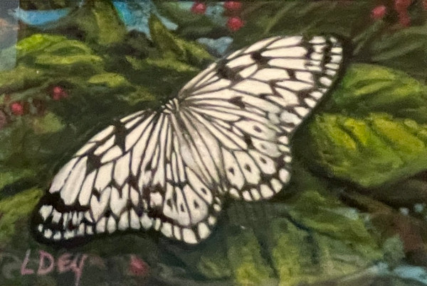 Paper Kite by Lorraine  Dey, Image 1.