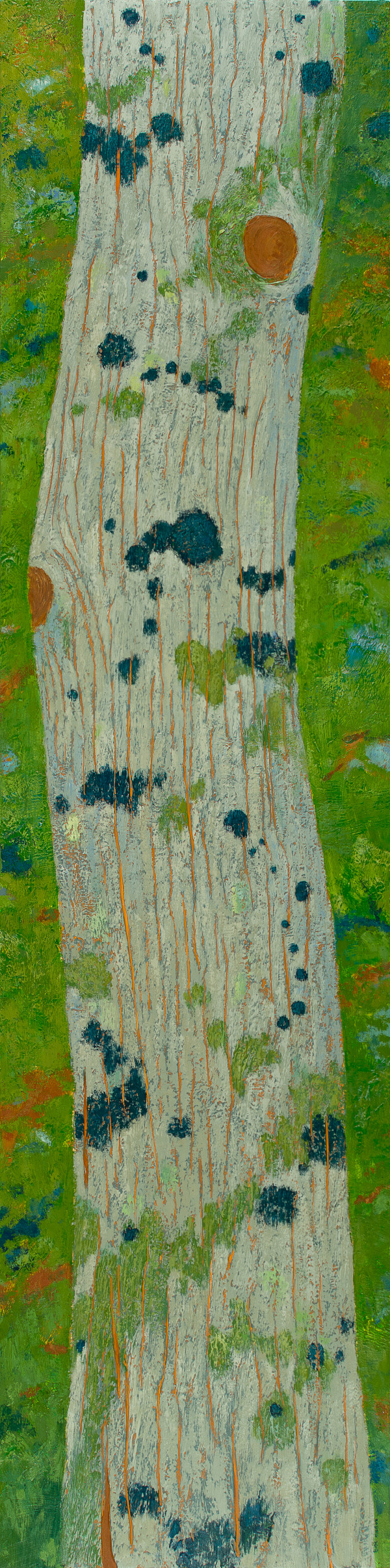 Blue Lichen, Eastern Hemlock by Katherine Steichen Rosing