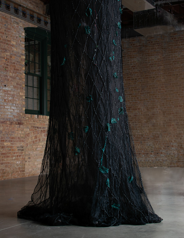Grandmother Ash with Lichen (spirit tree) by Katherine Steichen Rosing