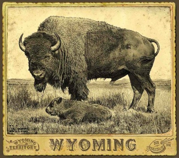 A Chip Off the O'l Block Wyoming- South Dakota North Dakota- Montana by Bob Coronato, Image 1.