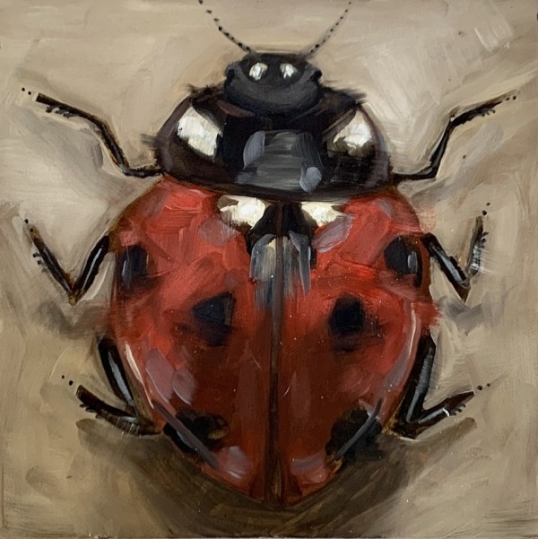 "Lady Bug Study" by Alexandra Hansen